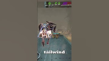 Zephyr Infinite Target Fixation Bug | #warframegameplay #tennocreate #warframe #bug