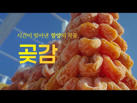 시간이 빚어낸 함양의 작품, 곶감