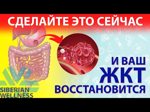 Препараты для улучшения пищеварения. ПРОБИОТИК как препарат для улучшения пищеварения