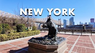 New York Winter Walk [4K] Midtown East Greenway