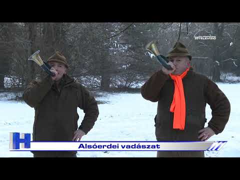 Alsóerdei vadászat – ZTV Híradó 2021-01-11