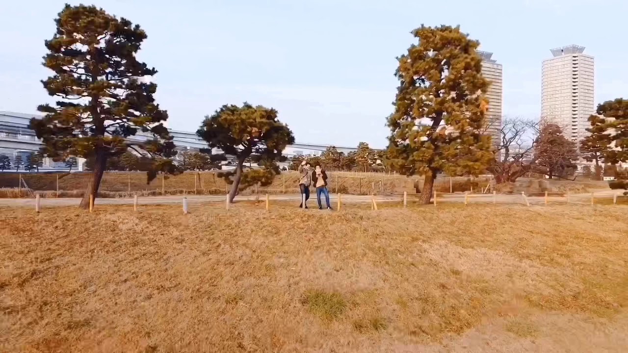 【mavic mini】Drone 2.7K Tokyo  Odaiba  Aerial Shoot