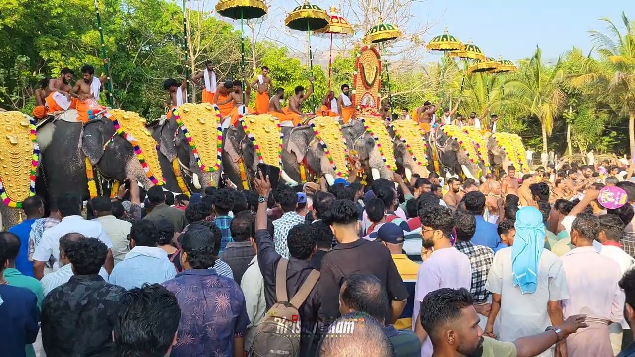 Uthralikavu | പൂരത്തിന് ഇനി ദിവസങ്ങൾ മാത്രം 😍 