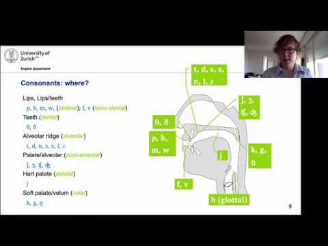 Introduction to linguistics — Phonetics I
