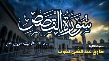 تلاوة مرتبة لسورة القصص كاملة بصوت القارئ طارق دعوب - Surah Al-Qasas Tariq Daawob