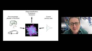 Moritz Helmstaedter: Can connectomics help us understand the brain and sustain the revolution in AI?