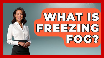 What Is Freezing Fog? - Weather Watchdog