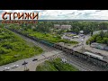 Стрижи (Прогулки по Кировской области)