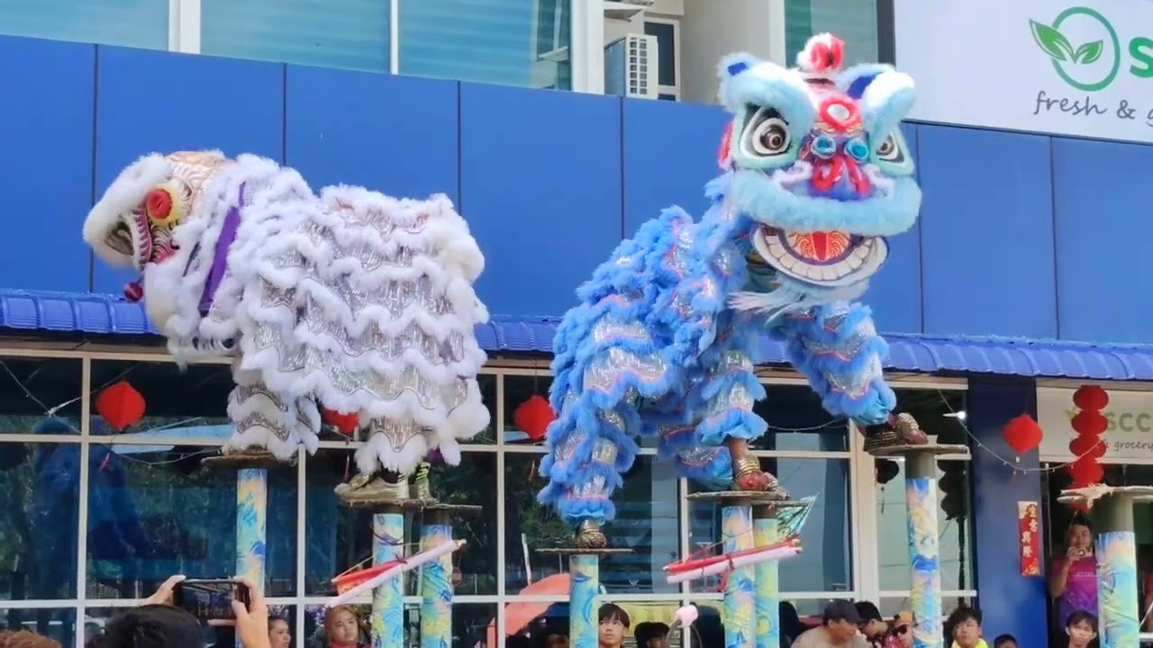 Lion Dance UTC kk sabah, 2nd Feb 2025, Zhoa Sheng Group