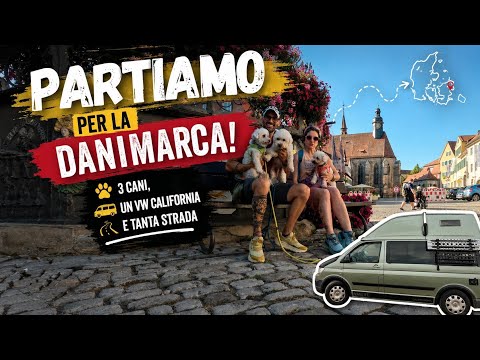 Video PARTIAMO PER LA DANIMARCA! ?? 3 cani, un VW California e tanta strada