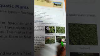 Adaptation in plants (part 2)-class 4 Science