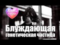 ЖЕНСКОЕ СЕРДЦЕ – БЛУЖДАЮЩАЯ ГЕНЕТИЧЕСКАЯ ЧАСТИЦА 💗 ️Любовная лирика