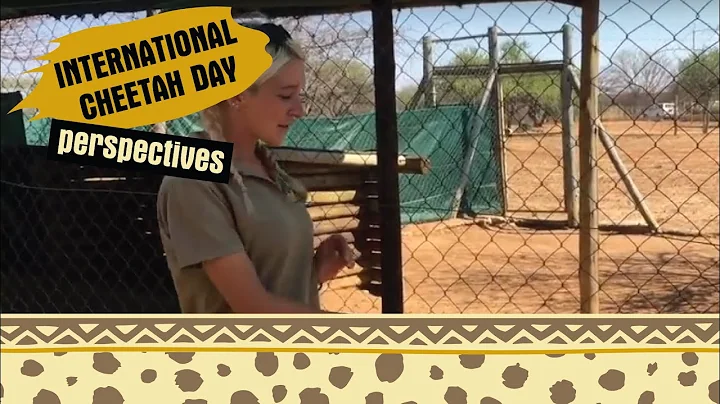 Lora Allen for International Cheetah Day