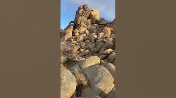 How to camp in Joshua Tree National Park ⛺️ 🌵