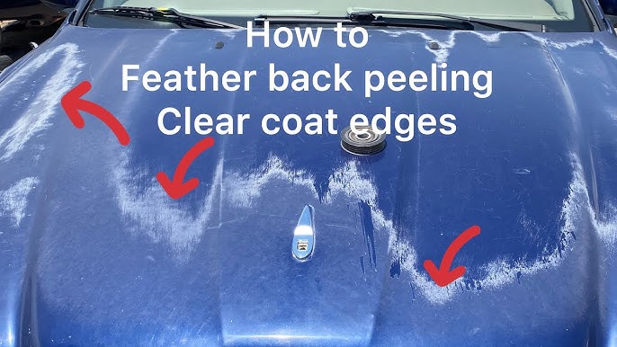 How to Fix Clear Coat Peeling  Andy Mohr Collision Center IN