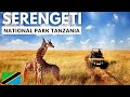 SERENGETI NATIONALPARK Eines Der Sieben Naturwunder Afrikas SERENGETI NATIONALPARK Eines Der Sieben Naturwunder Afrikas