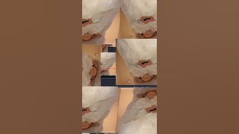 Stream got a bit weird XD | #mechagaru on #Twitch