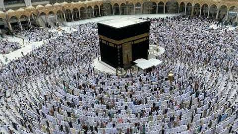 سورة إبراهيم { أدخل الذين آمنوا وعملوا الصالحات جنات تجري من تحتها الأنهار خالدين فيها } عزت العناني
