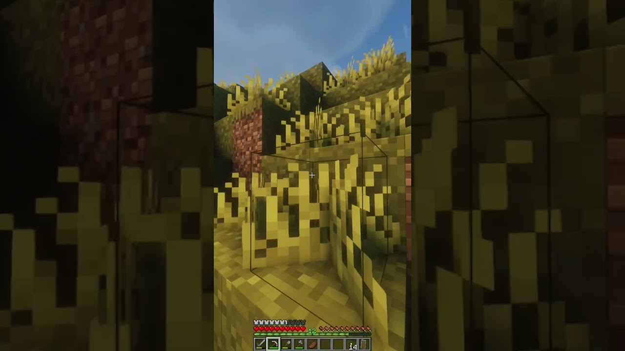 22 jan Minecraft play short Survivalcraft 2 