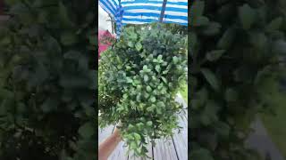 This artificial boxwood shrub is a simple way to add greenery to your porch, patio, entryway,