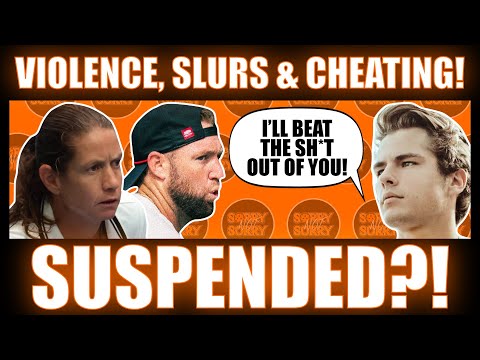 SUSPENDED?! PPA Pickleball Player CHEATS, Threatens A Fan With Violence & Slurs! Fair Punishment?