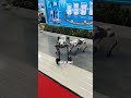 Bingung mau ngapain di IIMS 2026? Cek video ini sampai habis! 🎬