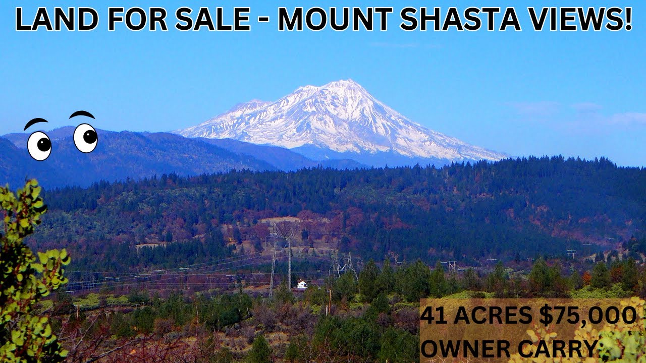 Owner Financed Acreage For Sale In California Mount Shasta Views! YouTube