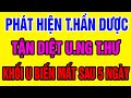 LƯƠNG Y Tiết Lộ LOẠI CÂY TRƯỜNG THỌ, Cực Tốt Cho Sức Khỏe, Được Nhật Bản Săn Lùng Mà Người Việt Thờ