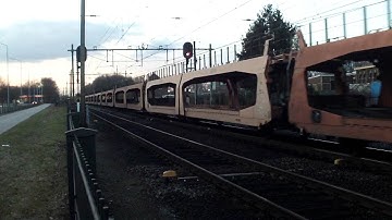Empty Auto Train DB Cargo at Blerick the NL 3.3.2016
