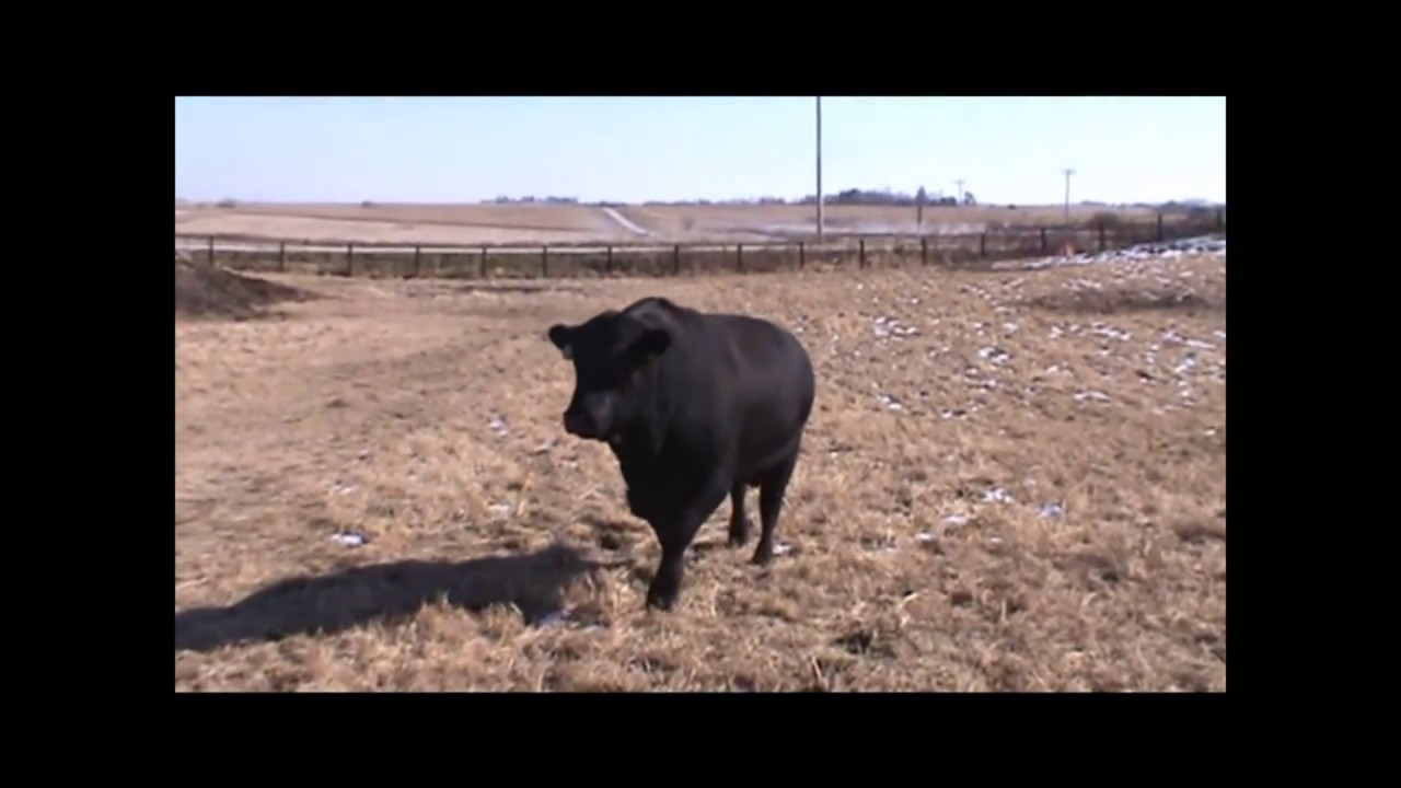 camera iphone 8 plus apk Basin Payweight 1682