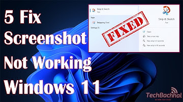 Screenshot Not Working Windows 11 - 5 Fix