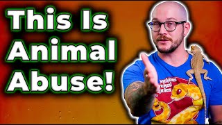 Animal abuse is Disgusting! How Does This Even Happen? | My Response to Slithers