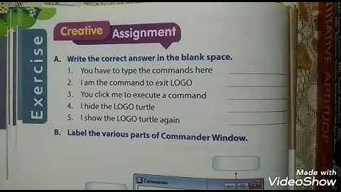 Class 3rd | Chapter 6: Computer Language: MSW LOGO (Part 3)