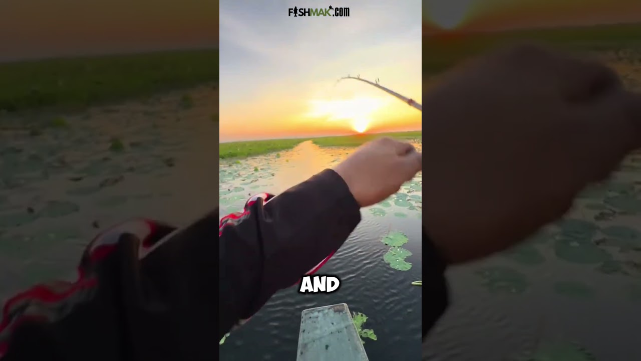 ❤️Shop now at FISHMAK.COM and get the best deals on the best products!