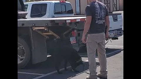 Conservation K9 Training Session in Utah