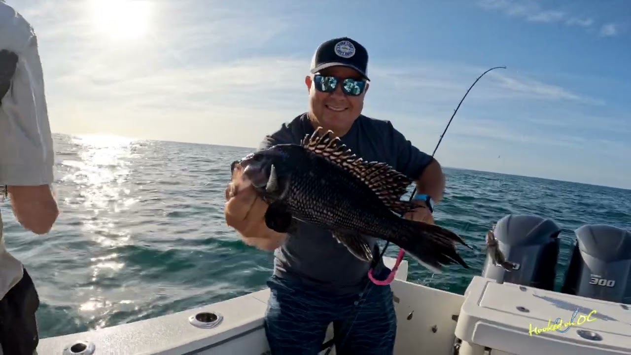 accurate fishing reels for sale 30% OFF SALE ON ENTIRE INVENTORY OF ACCURATE REELS!!!