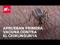 Primera vacuna contra el Chikungunya es aprobada por Estados Unidos - En Punto