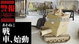 【ダンボール工作】かっこいい猫戦車【爪とぎ】