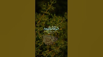 فَصَبْرٌ جَمِيلٌ 🌿 تلاوة خاشعة تُلامس القلوب ❤️ | الشيخ إسلام صبحي 🎧 #تلاوة #قرآن #إسلام_صبحي #funny