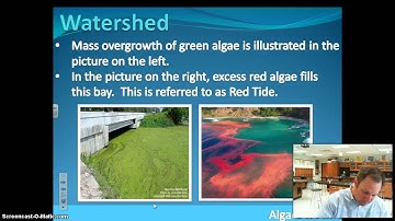 Groundwater, Surface Water, and Watershed Video: Part 3
