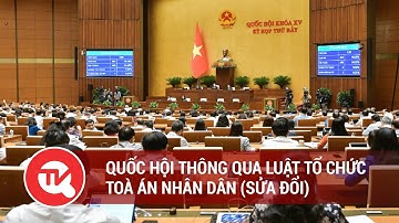 Quốc hội thông qua Luật Tổ chức Toà án nhân dân (sửa đổi) | Truyền hình Quốc hội Việt Nam
