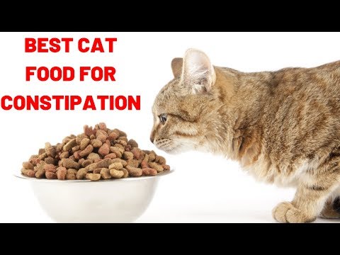 कब्ज के लिए सर्वश्रेष्ठ बिल्ली का खाना | बेस्ट हाई फाइबर वेट कैट फूड