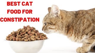 Best high fiber wet cat food ...