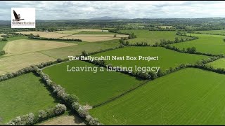 The Ballycahill School Barn Owl nest box project - a lasting legacy by BirdWatchIreland 2,656 views 2 years ago 11 minutes, 1 second