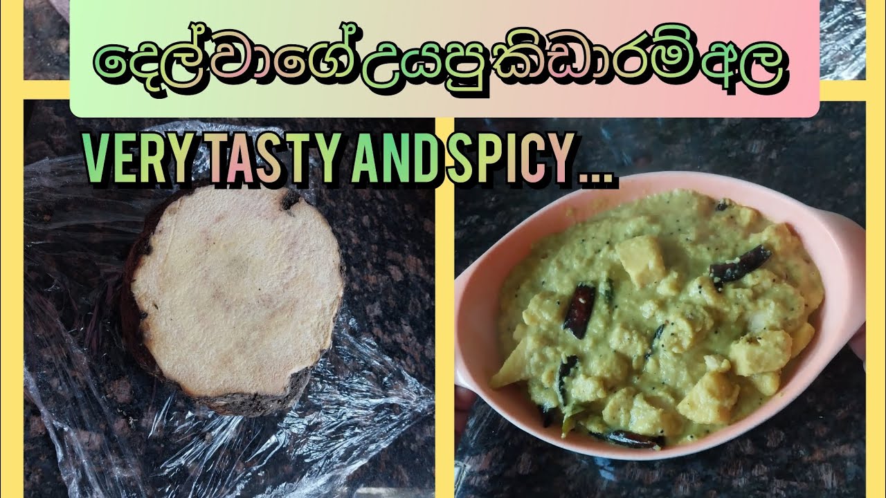 රසම රස කිඩාරම් අල මාලුවක් | easy elephant foot curry