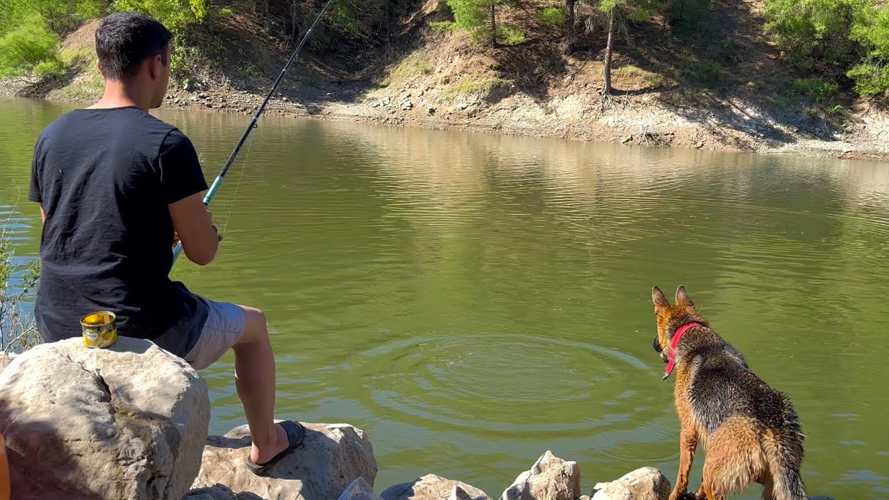 Рыбалка и сплав на каноэ / 3-дневный лагерь в дикой природе с моей собакой