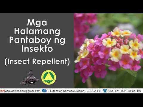 Video: Impormasyon sa Pagkontrol ng Lamok: Pagkontrol sa Mga Lamok Sa Lawn At Hardin