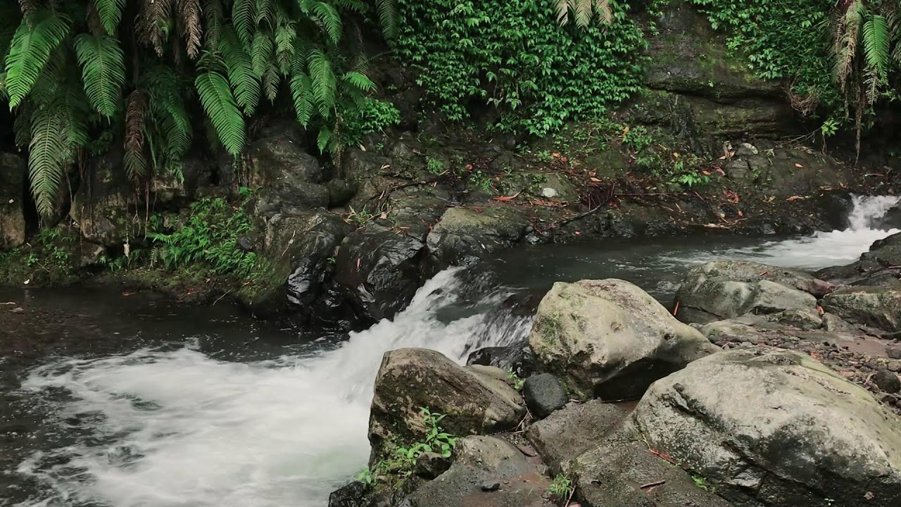 Wilderness Water Atmosphere for Study, Anxiety Relief, All Night Sleep