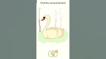 Find the cat and the bird dop2 (delete one part)#viral #dop2 #shorts #shortvideos
