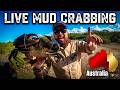 Big Mud Crabs n' Blue Sky Content !discord !gleam